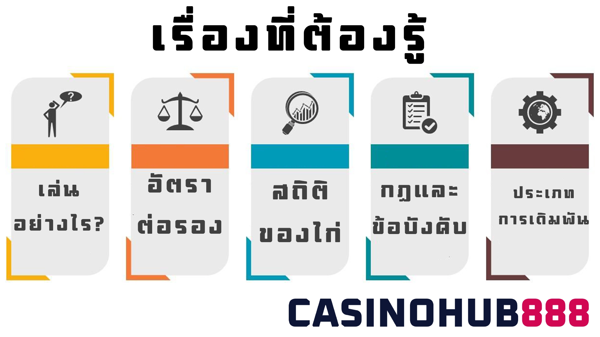 Things to Know ตีไก่ต้องรู้อะไรบ้าง