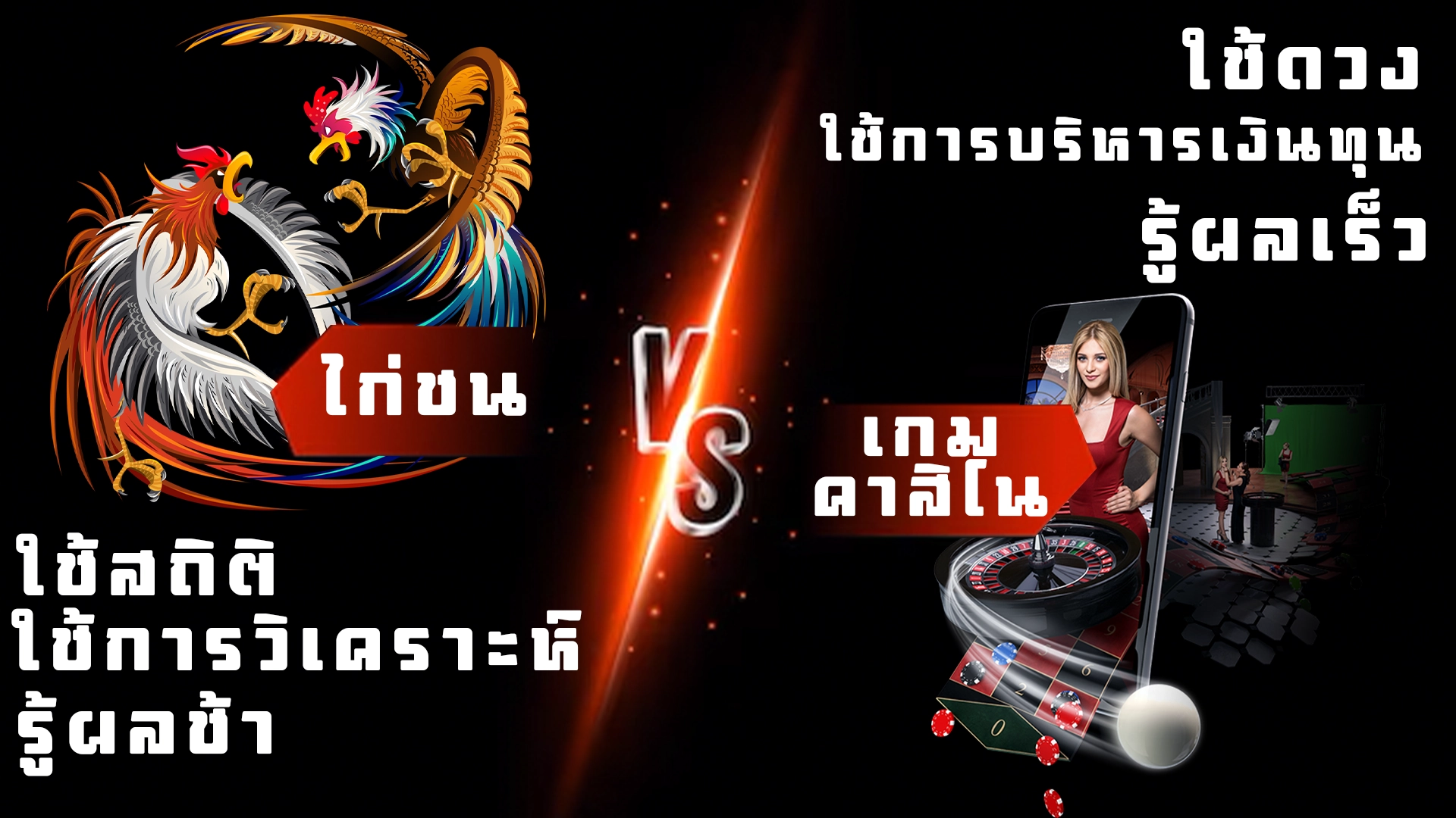 compare casinogame ความต่างระหว่างไก่ชนกับเกมคาสิโน